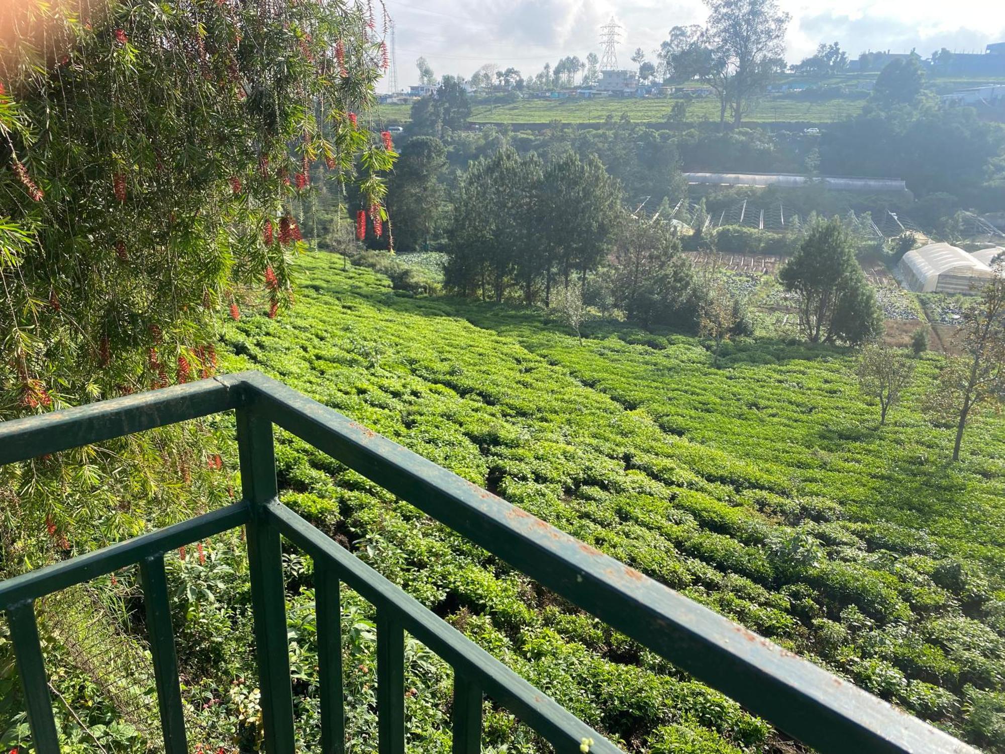 Golf Dale Holiday Resort Kotagiri Exteriér fotografie